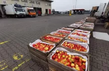 ceny jabłek na broniszach