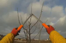 sekator jaki wybrać