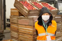 sadownicy przekazali jabłka potrzebującym