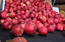 jabłka Red Jonaprince