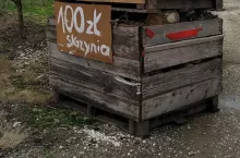 drewno z sadu