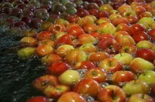 grupy producentów