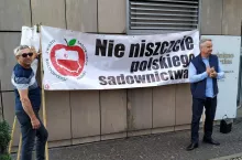 protest