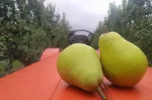 Klapsa ceny