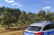kradzież jabłek z sadu