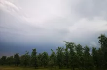 pogoda