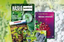 Pakiet ”Winorośl i winnica”
