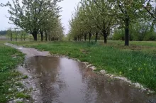 oczko wodne
