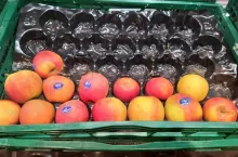 markety