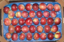 jabłka w marketach