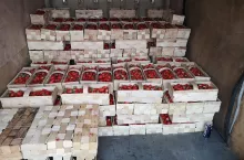 łubianki na truskawki