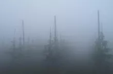 mgła na drogach