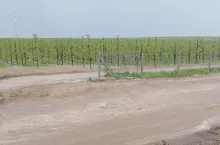 gradobicie 2020