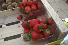 polskie truskawki