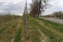 644441