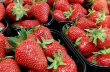 importowane truskawki z zagranicy