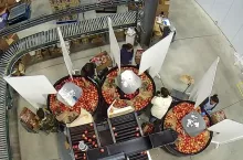 licealiści sortują owoce