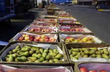 zjazdowa rynek w lodzi