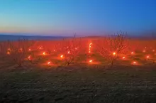 przymrozki wiosna 2020