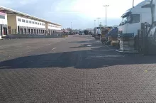 bronisze ceny jabłek 2020