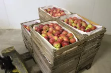 zalecenia gis dla rolników sprzedających na targowiskach