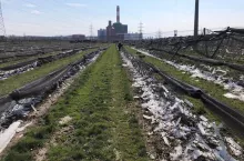 przymrozki 2020 zniszczony sad w austrii