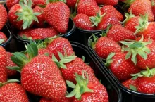 Truskawki w wytłoczkach