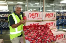 John Bostock największy producent jabłek ekologicznych w Nowej Zelandii.