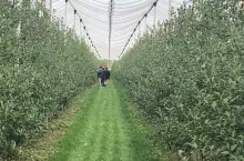 Wizyta przedstawicieli Al Dahra Holding LLC w Polsce