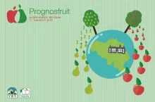 Ile będzie jabłek i gruszek w Europie? Czekamy do 8 sierpnia