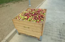646992