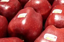 Red Delicious