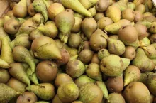 gruszki przemysłowe