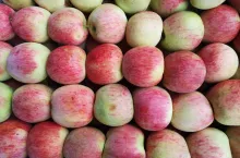 pierwsze ceny odmiany piros