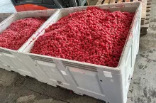 import mrożonych malin z ukrainy