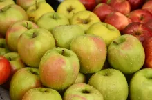 jabłka deserowe