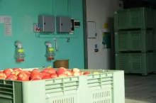 energia elektryczna