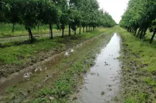 opady deszczu