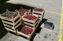 czereśnie import