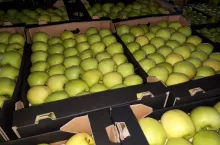 Golden Delicious