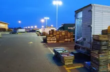 Ceny jabłek na Broniszach - 2019/20