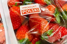 truskawki