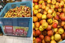 jabłka Lidl