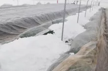 śnieg w tunelach