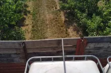 Podlewanie sadu daleko od domu - lipiec 2019