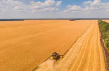 Aerial view of summer harvest. Combine harvester harvesting large field. Agriculture from drone view.