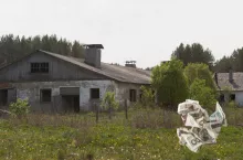 Rolnicy apelują o pilną decyzję. Tracą nawet 150 tys. zł