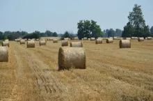 pole, baloty, słoma;