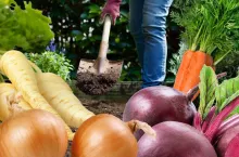 Aplikacja Food Farmer dla rolnika i konsumenta.