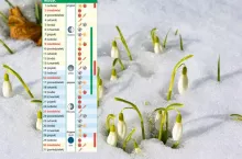 Kalendarz biodynamiczny na marzec 2025. Kiedy i jakie prace wykonać?